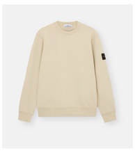 Load image into Gallery viewer, Crewneck Sweatshirt plaster