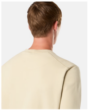 Load image into Gallery viewer, Crewneck Sweatshirt plaster