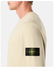 Load image into Gallery viewer, Crewneck Sweatshirt plaster