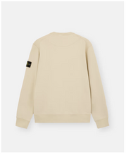 Load image into Gallery viewer, Crewneck Sweatshirt plaster