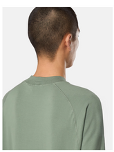 Load image into Gallery viewer, Crewneck Sweatshirt Musk Green Stellina