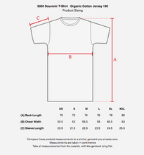 Load image into Gallery viewer, Black Souvenir T-Shirt