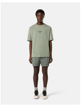 Load image into Gallery viewer, Sage Green Swim Trunks In Nylon Metal
