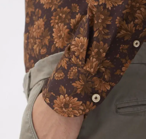 Shirt Collar cutaway Brown Poplin